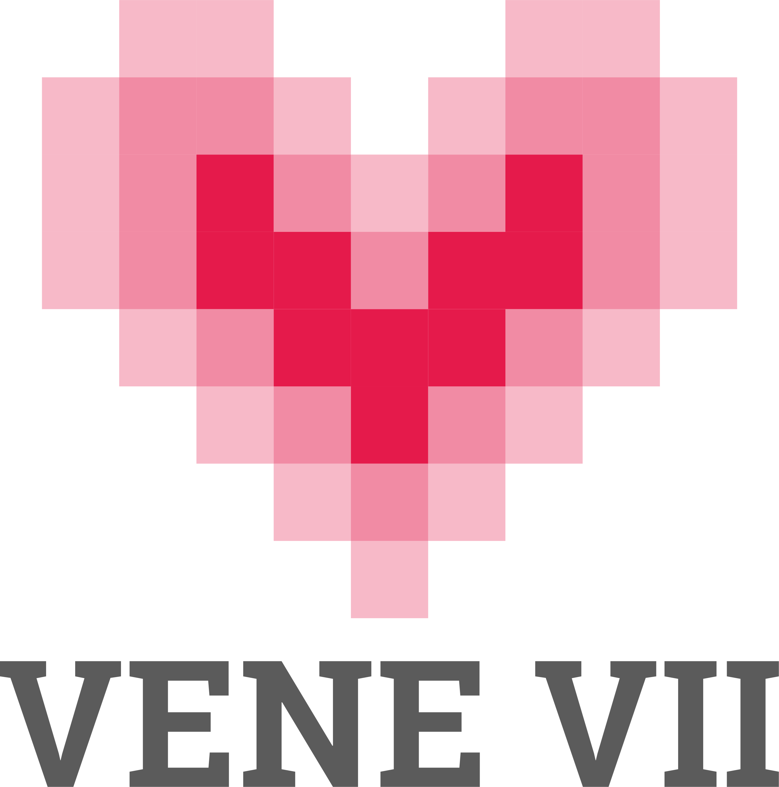 Logo Vene Vii